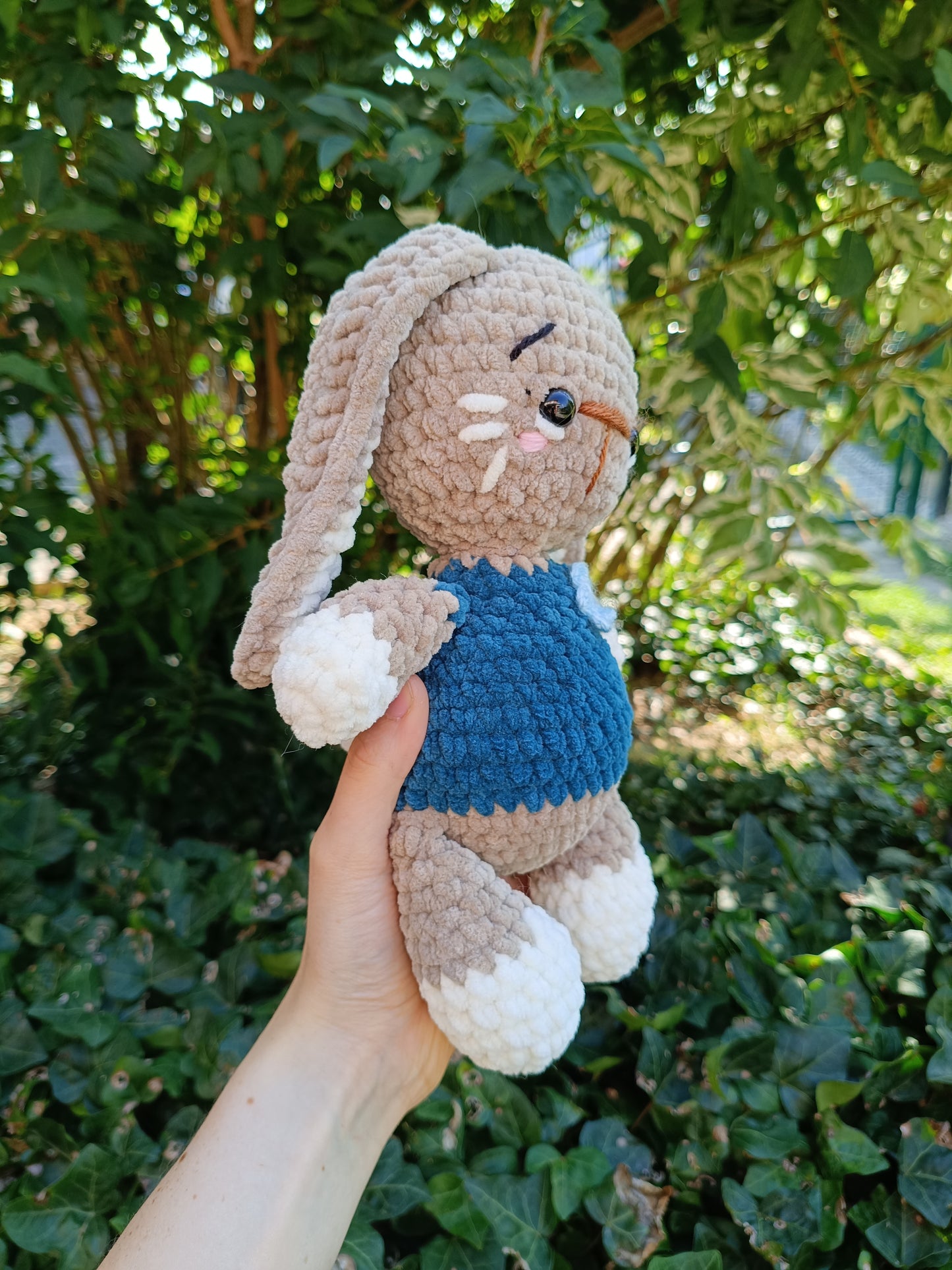 Lapin terrestre