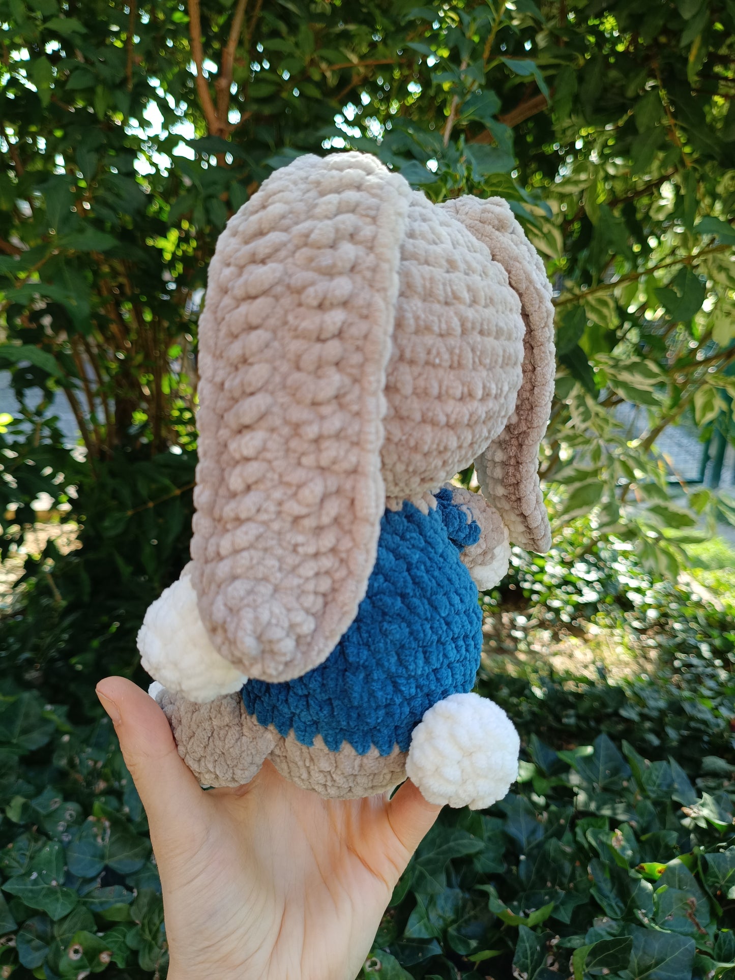 Lapin terrestre