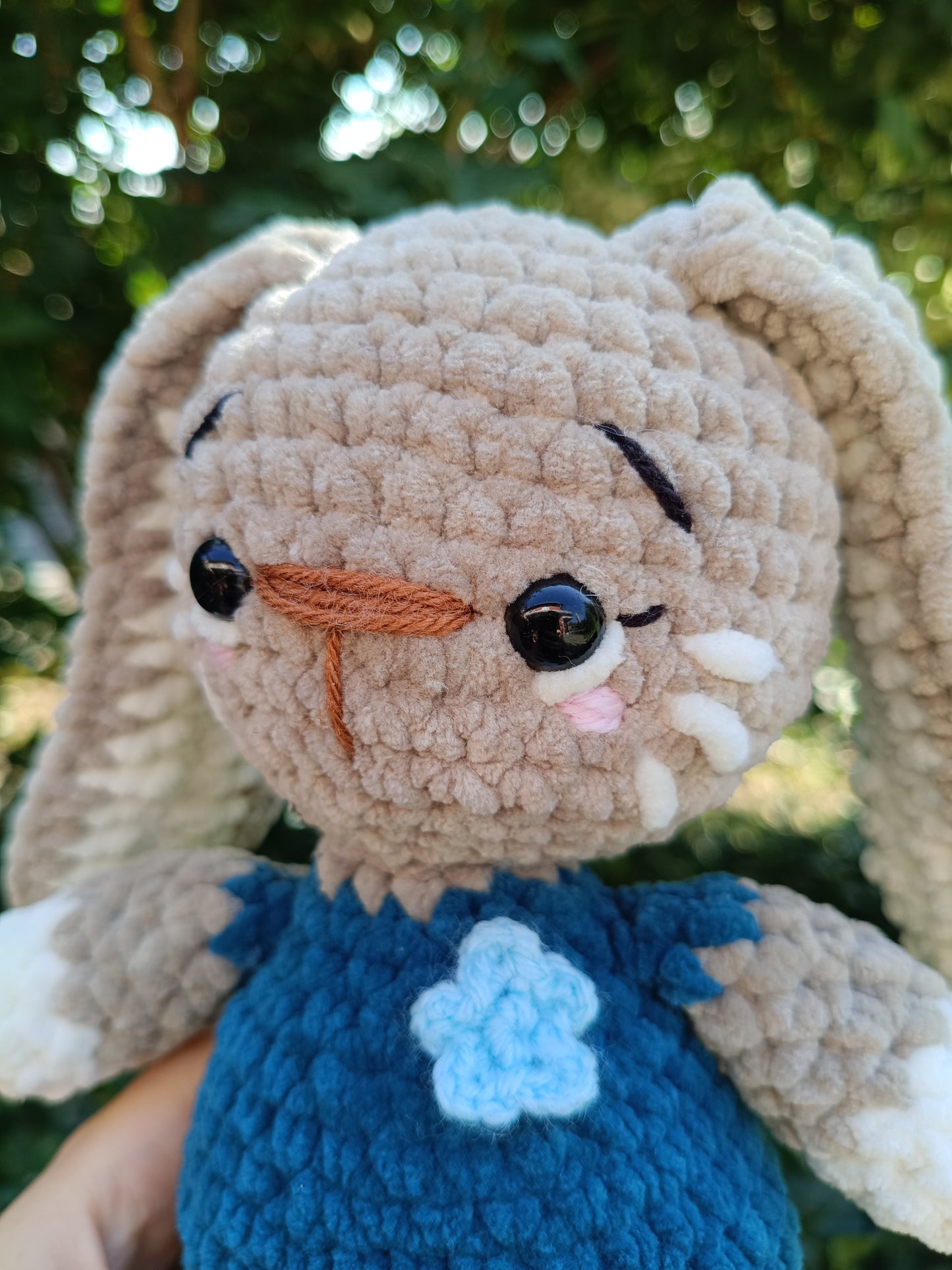 Lapin terrestre